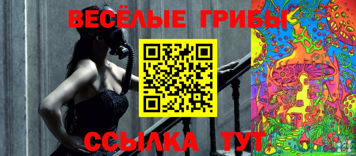 Галлюциногенные грибы Psilocybe Лесозаводск